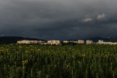 pohoda-2022-07-05-1014
