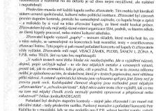 kytary_a_rev_242